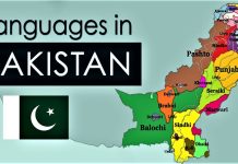 Languages of Pakistan in 2023