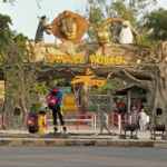Top 10 Attractions Places To Visit In Rawalpindi Ayub National Park
