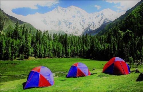 Fairy Meadows