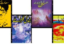 Best Novels in Urdu