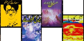 Best Novels in Urdu