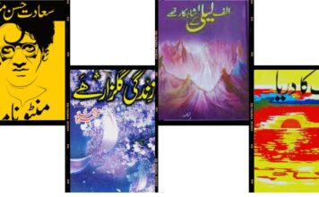 Best Novels in Urdu