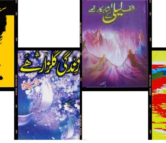 Best Novels in Urdu