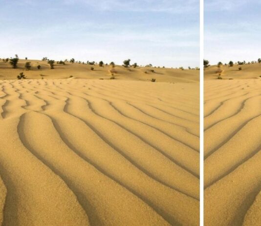 Top 10 Famous Deserts of Pakistan The Thar Desert