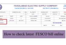 FESCO bill