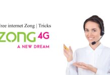 Free internet Zong